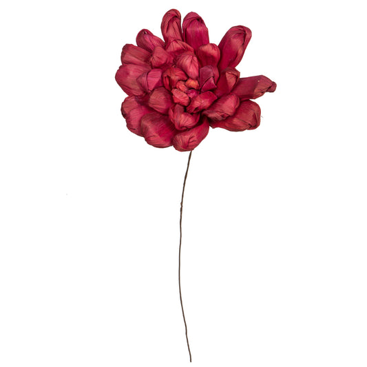 Vickerman Natural Botanicals 6" Bordeaux Maize Dahlia on 18" wire stem- 6 stem/bag. Dried and preserved.