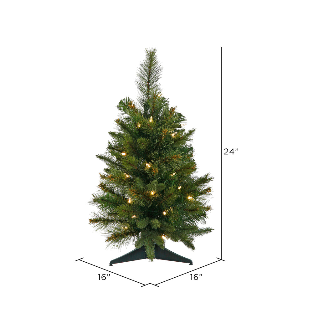 Vickerman 24" Cashmere Pine Artificial Christmas Tree Warm White Battery Operated LED Lights