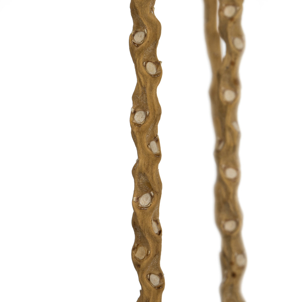 Vickerman 36-40" Ivory Caba Spine Bundle 3 pack Dried