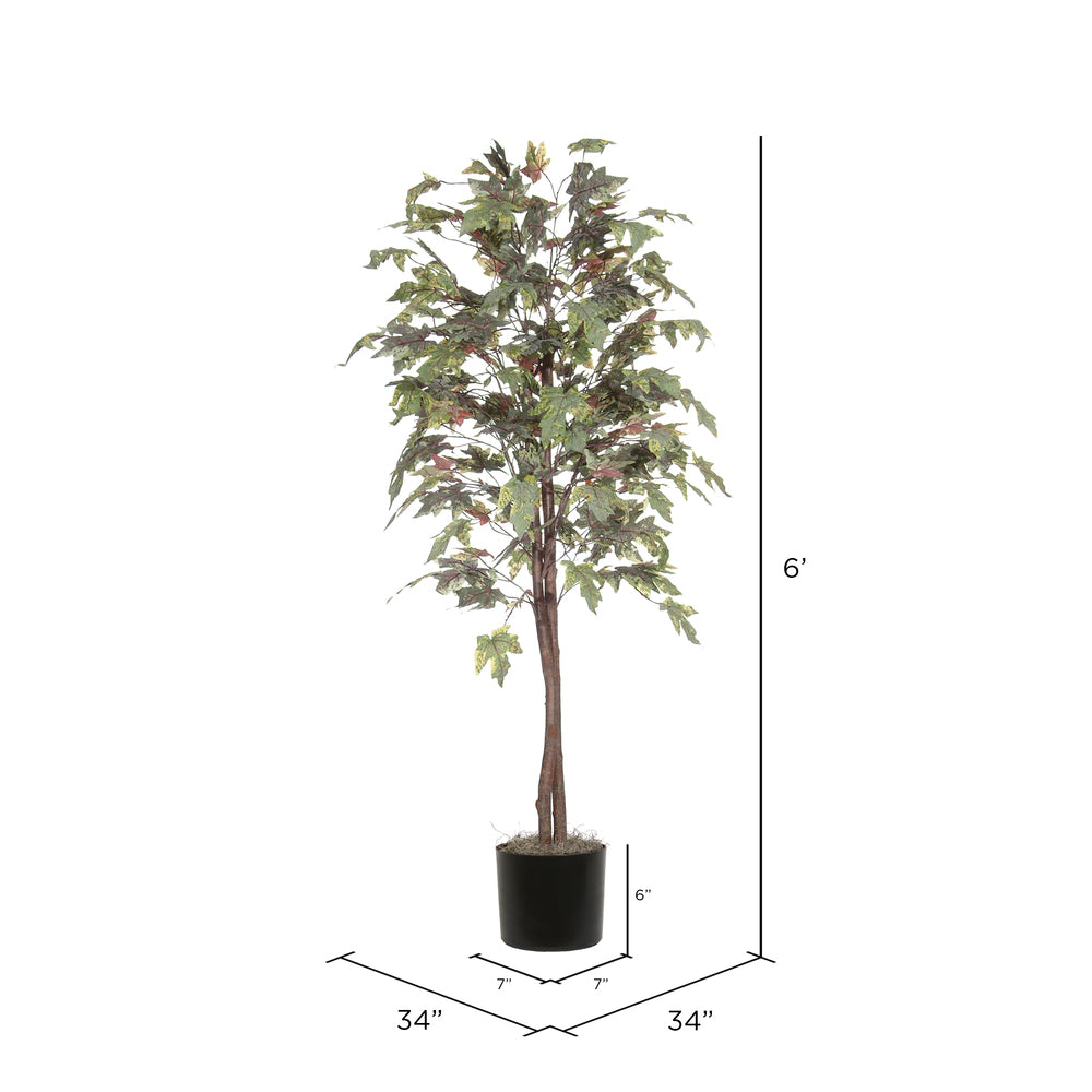 Vickerman 6' Artificial Frosted Maple Black Plastic Pot