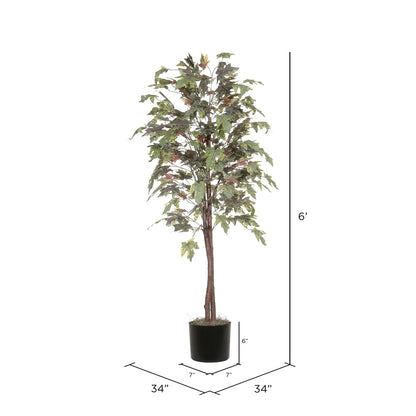 Vickerman 6' Artificial Frosted Maple Black Plastic Pot