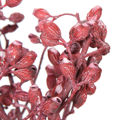 Vickerman Natural Botanicals 12" x 1-3" Eucalyptus Clusters on stem red frosted 16 stems per unit