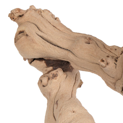 Vickerman Grapewood Sand Blasted Branch 24" Dried