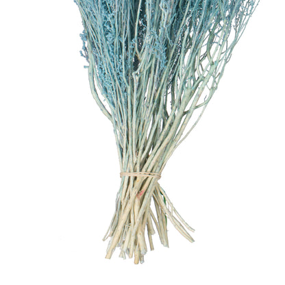 Vickerman 14-18" Baby Blue Stoebe Bundle.  Comes 3.5 oz per bundle.