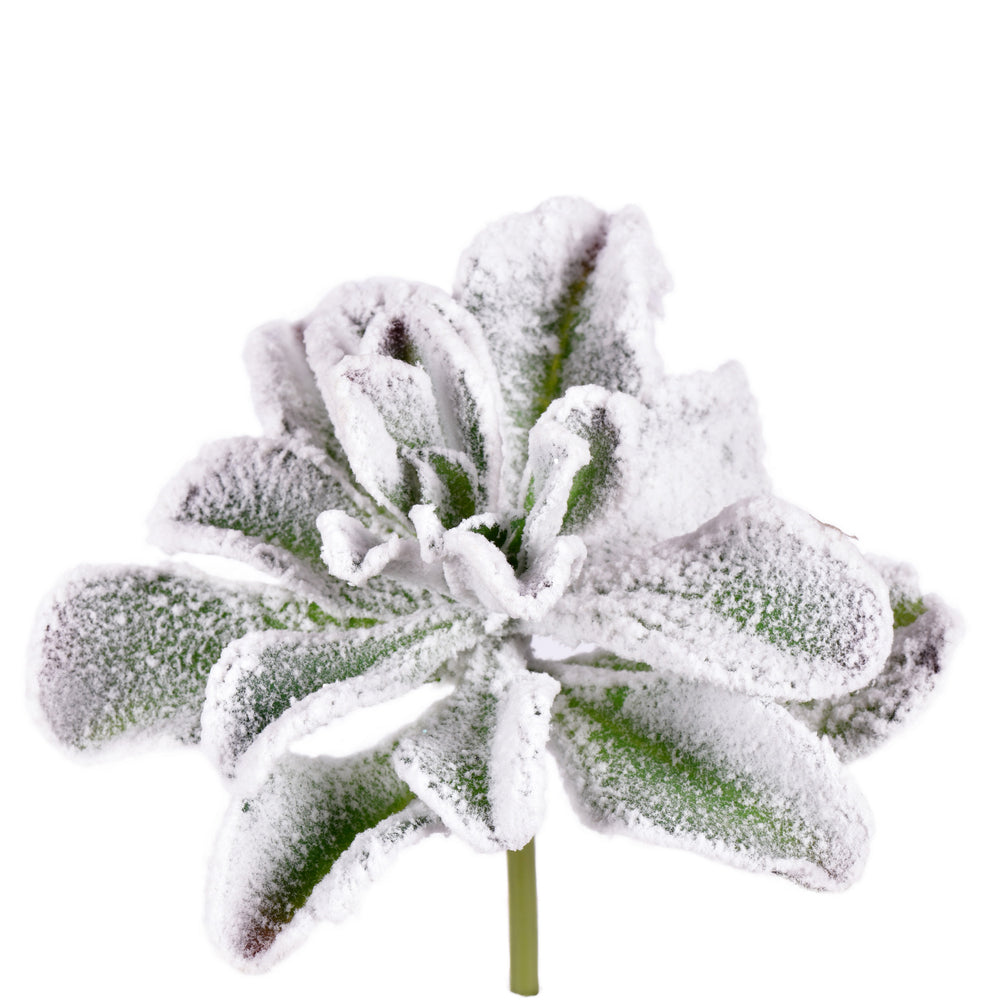 Vickerman 6-8" Artificial Frosted Succulents Pack of 3