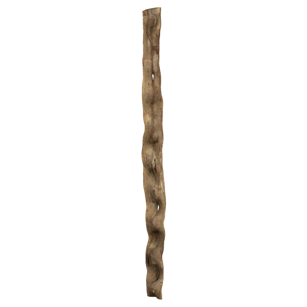 Vickerman 36-40" Natural Monkeys Ladder Vine. Includes 2 Pieces Dried