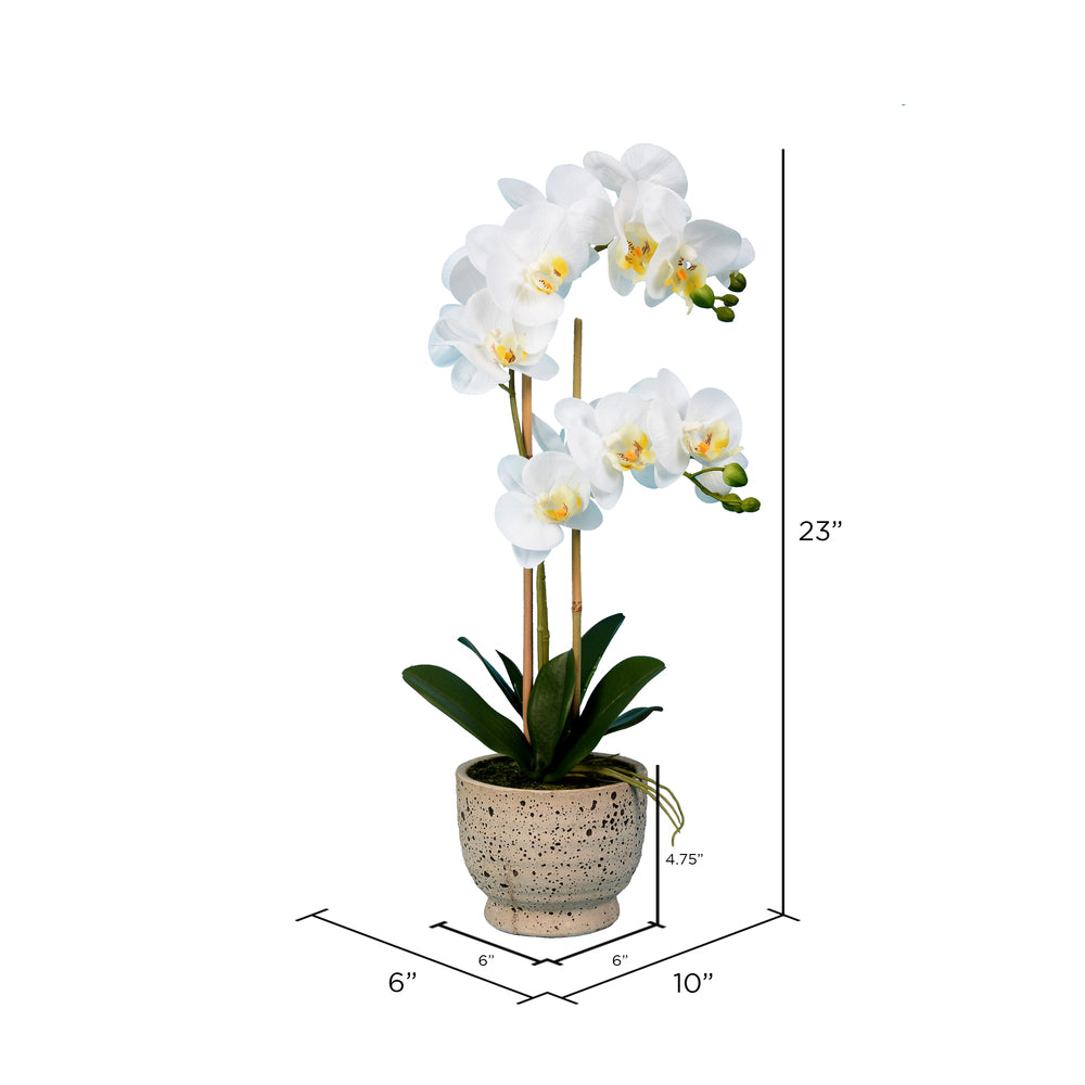 Vickerman 23" Artificial White Phalaenopsis In Pot.