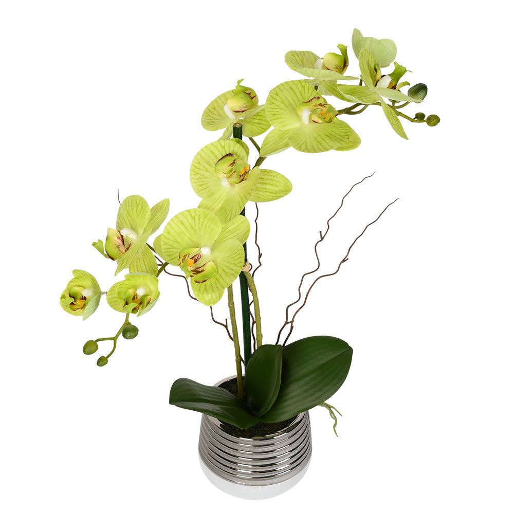 Vickerman 19.5" Artificial Green Phalaenopsis In Metal Pot.