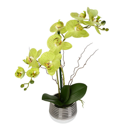 Vickerman 19.5" Artificial Green Phalaenopsis In Metal Pot.