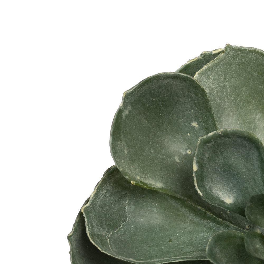 Vickerman 8.5" Artificial Assorted Echeveria Stems 6 per Bag