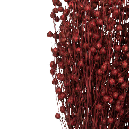 Vickerman Natural Botanicals 20-22" Red Dried Flax Linum 4 oz. Bunch.