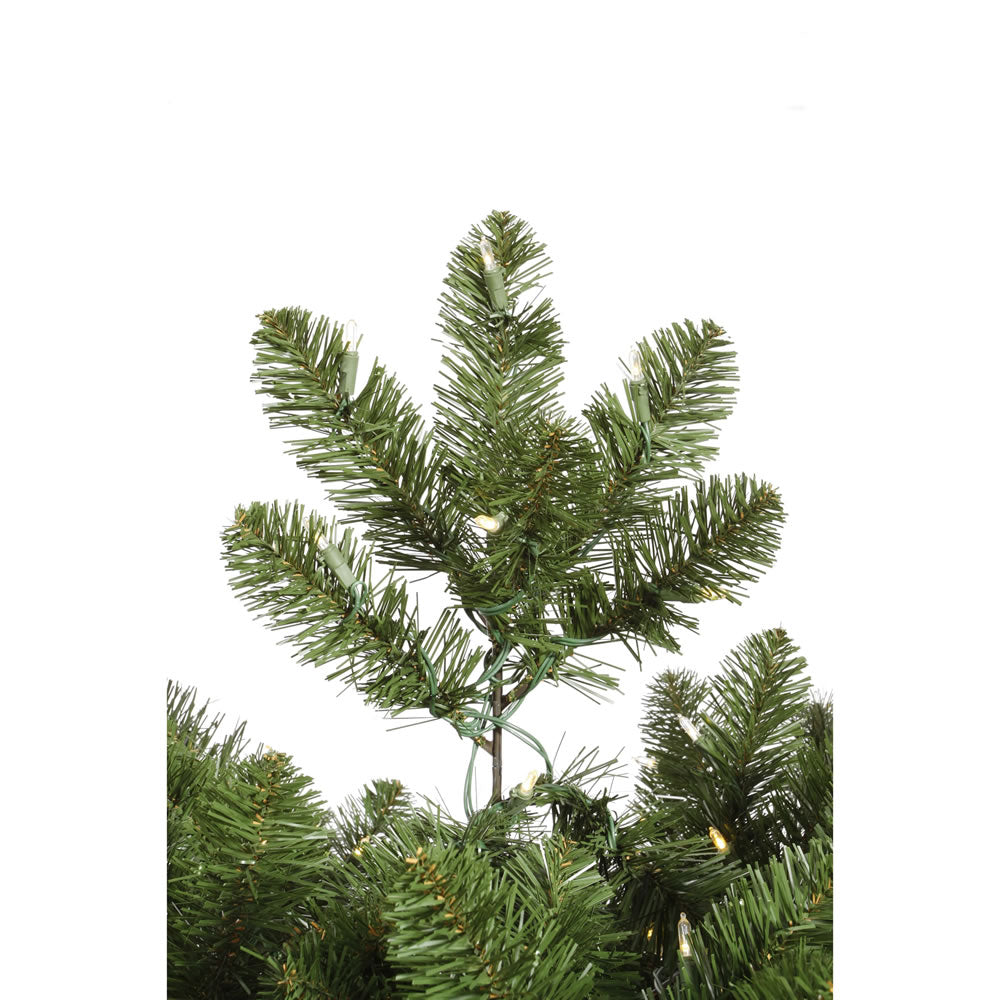 Vickerman 50' Grand Teton Artificial Christmas Garland Unlit