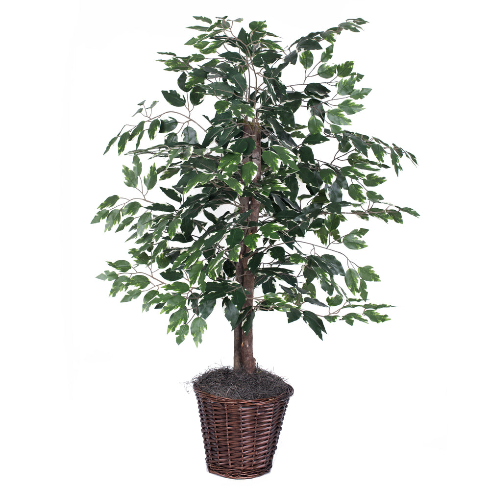 Vickerman 4' Artificial Variegated Ficus Bush Rattan Basket