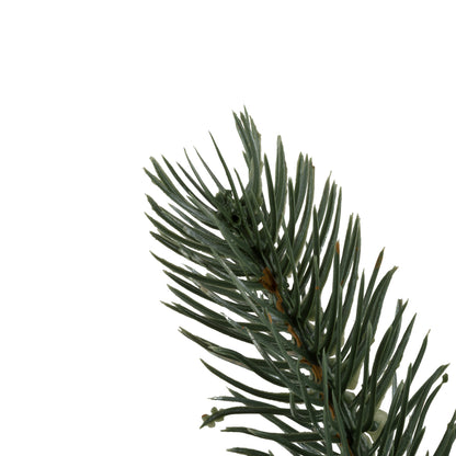 Vickerman 18" Colorado Spruce Artificial Christmas Spray. Includes 12 sprays per pack.