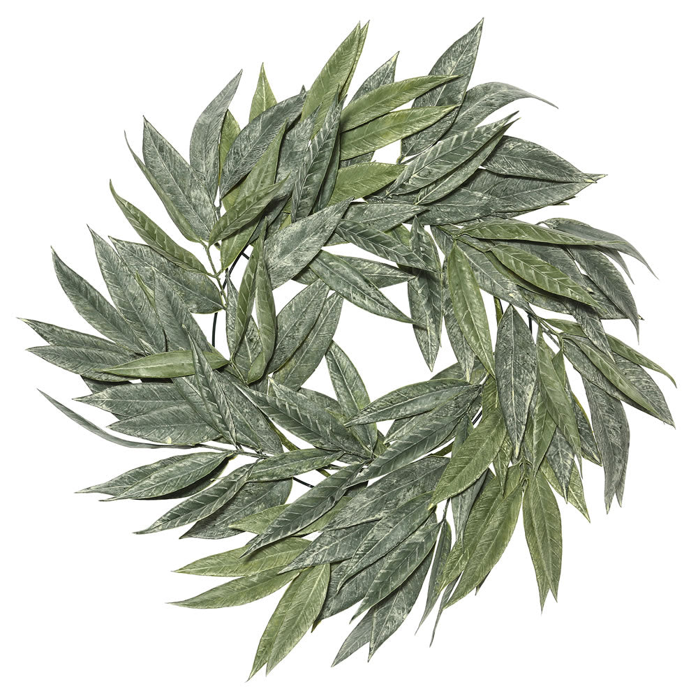 Vickerman 24" Artificial Green Muddy White Willow Wreath.