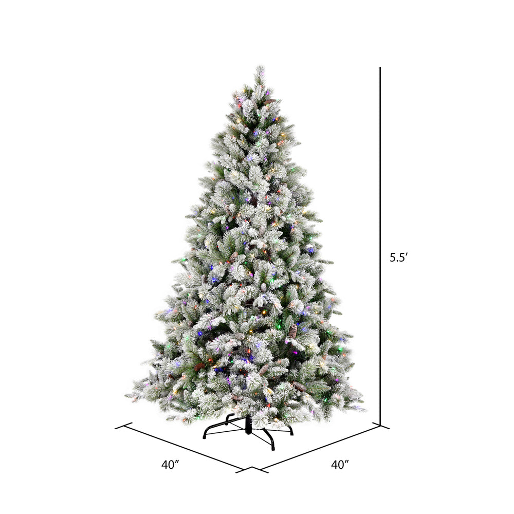 Vickerman 5.5' x 40" Flocked Ellis Pine Artificial Christmas Tree Multi-colored Dura-Lit® LED Lights