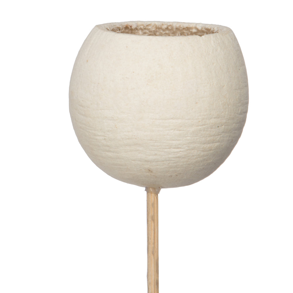 Vickerman Natural Botanicals 20" Bell Cup Bleached on Stem. Includes 40 Stems per Pack.
