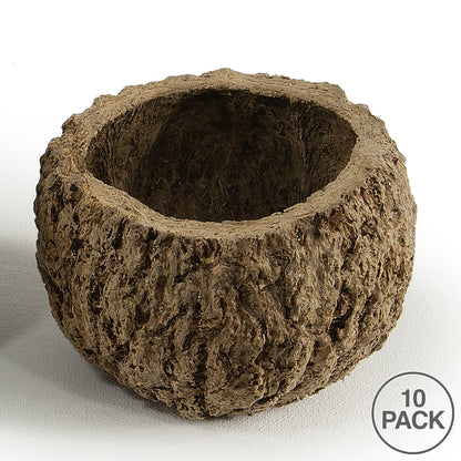 Vickerman 3" Wide Natural Mayan Coconut 10 per Pack Dried