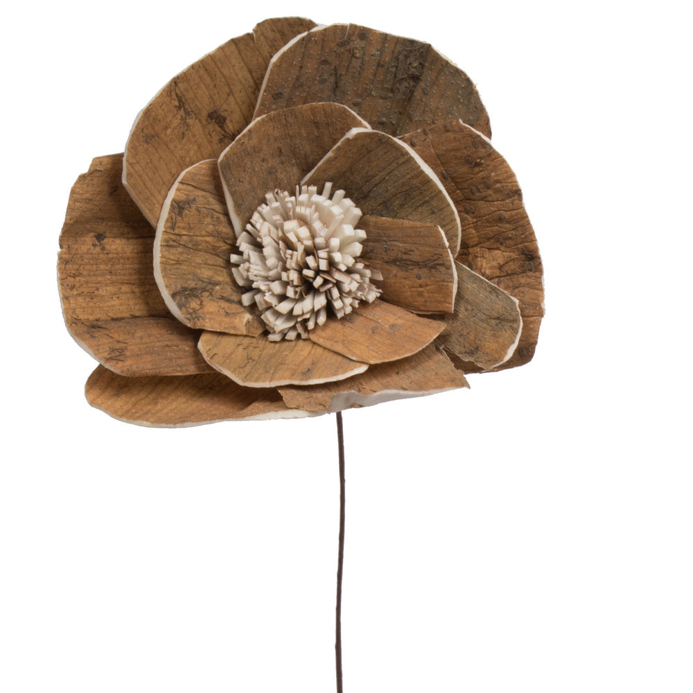 Vickerman Natural Botanicals 4" Walnut Sola Flower on 12" Stem - 12 stems/bag. Dried and preserved.