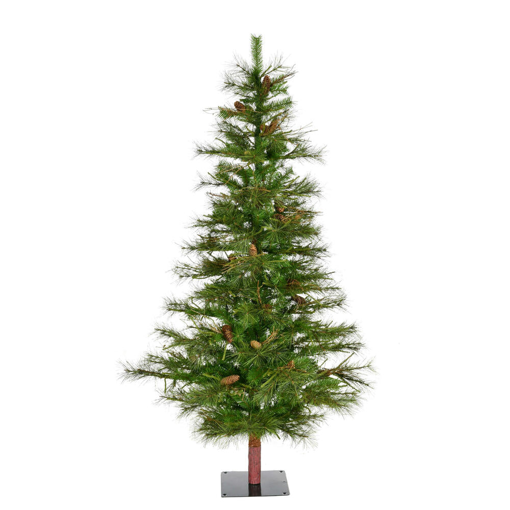 Vickerman 5' Ashland Artificial Christmas Tree Unlit