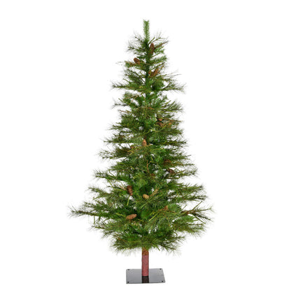 Vickerman 5' Ashland Artificial Christmas Tree Unlit