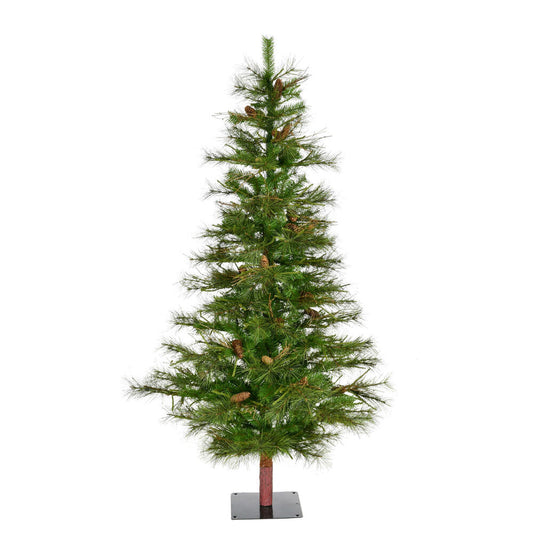 Vickerman 5' Ashland Artificial Christmas Tree Unlit