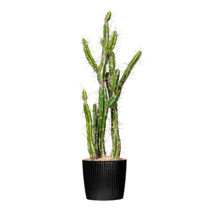 Vickerman 34" Artificial Green Cactus Black Plastic Planters Pot.