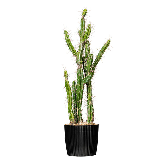 Vickerman 34" Artificial Green Cactus Black Plastic Planters Pot.
