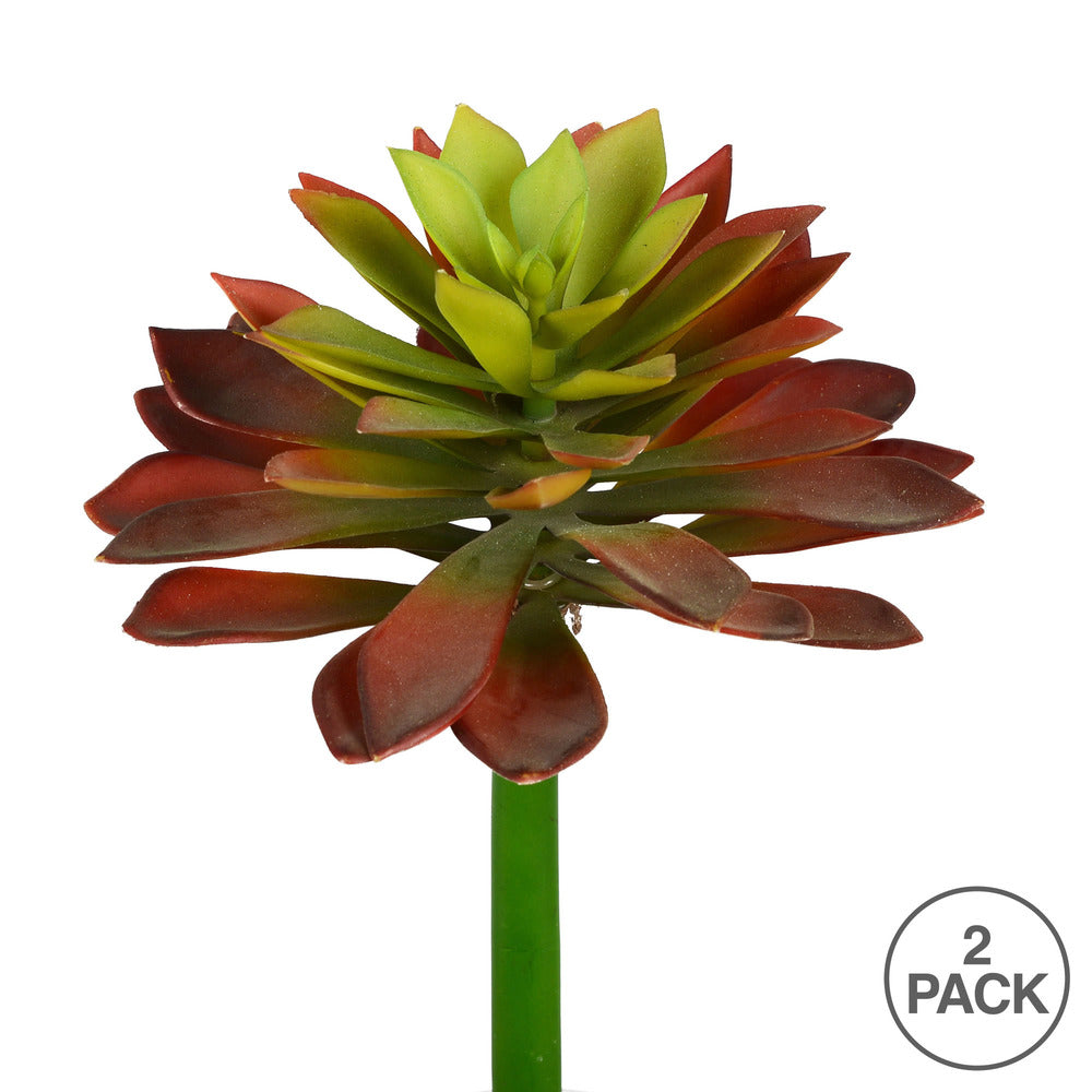 Vickerman 10" Artificial Red and Green Succulent Stem Pack of 2