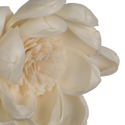 Vickerman Natural Botanicals 1.6"/2.4"/3.2" Assorted Natural Dried Crocus Sola Flower Head 24/bag.