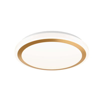 Dals Lighting LED Flush Mount