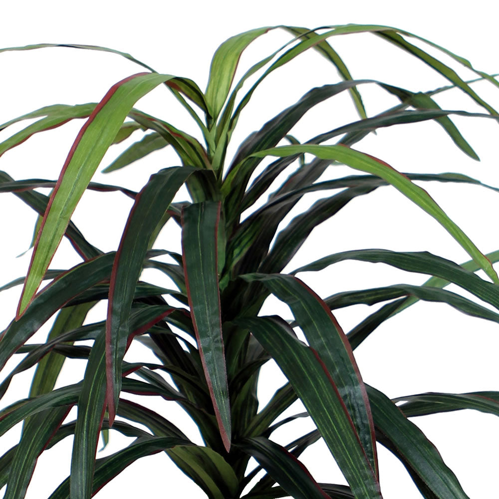 Vickerman 4' Artificial Marginata Extra Full Bush Black Plastic Pot.