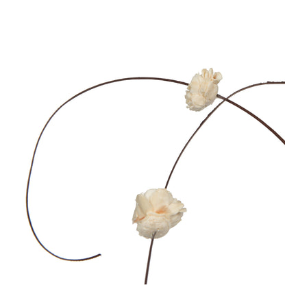 Vickerman Natural Botanicals 40" Brown Coco with Natural Dried Sola Zinnia- 24 sticks/polybag.