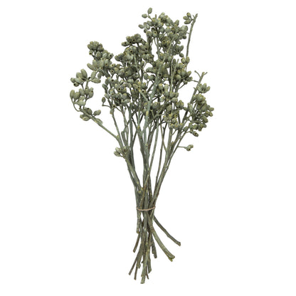 Vickerman Natural Botanicals 12" x 1-3" Eucalyptus Clusters on stem green frosted 16 stems per unit