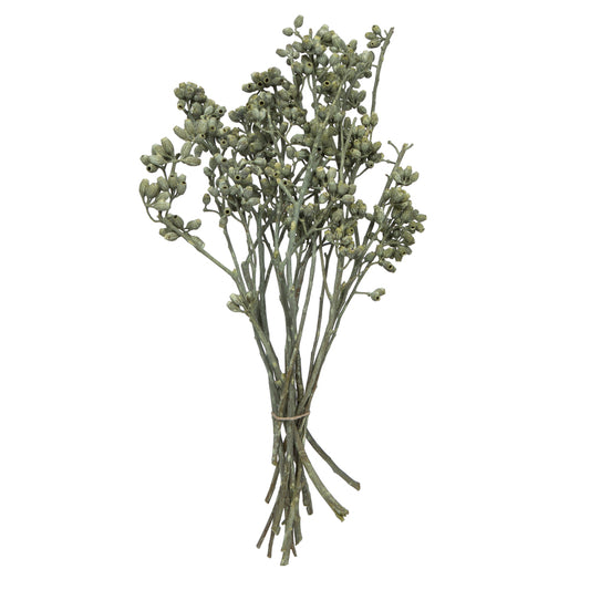 Vickerman Natural Botanicals 12" x 1-3" Eucalyptus Clusters on stem green frosted 16 stems per unit