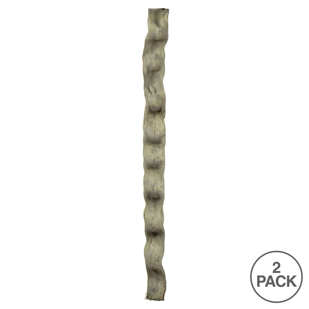 Vickerman 36-40" Frosted Green Monkeys Ladder Vine Pack of 2 Dried
