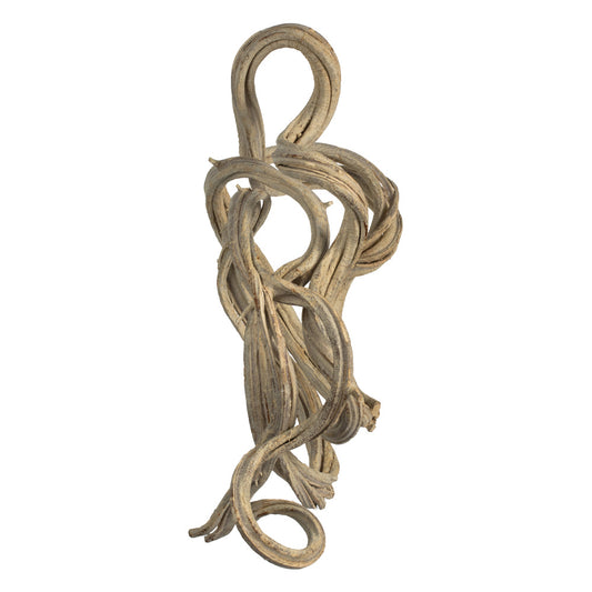 Vickerman 13" Bleached Coiled Vine Dried