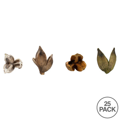 Vickerman 3-4" Assorted Sora Pod Bulk Assorted Colors case of 25 pieces/pk Dried
