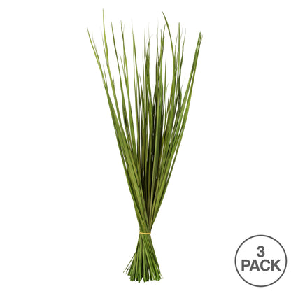 Vickerman 28-32" Basil Wild Flax Grass. Comes in 12oz (3 -4 oz Bundles) Dried