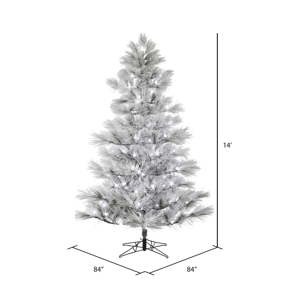 Vickerman 14' x 84" Flocked Alder Long Needle Pine Artificial Christmas Tree Frosted White C7 LED Lights