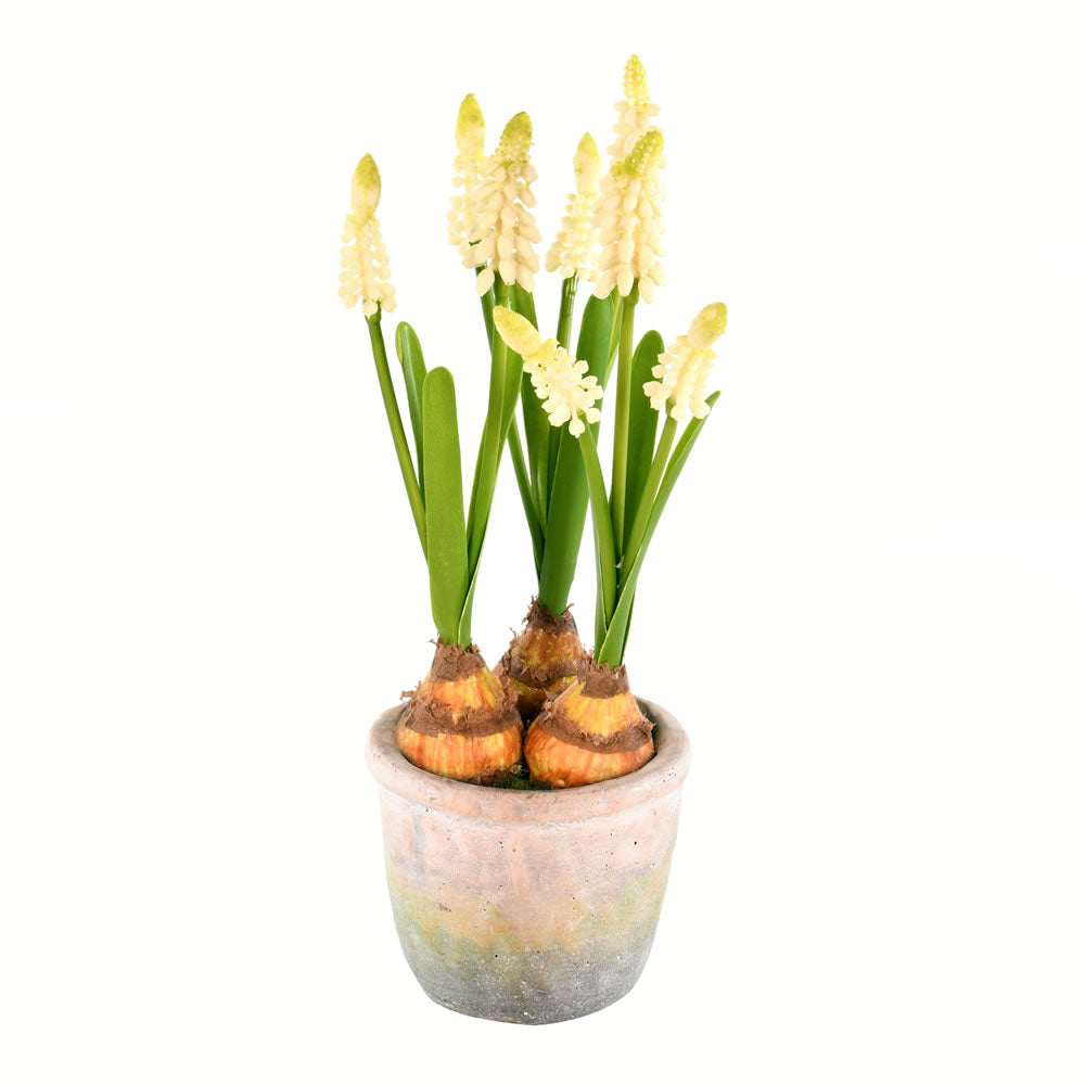 Vickerman 10" Artificial Yellow Hyacinths in Container Pack of 2
