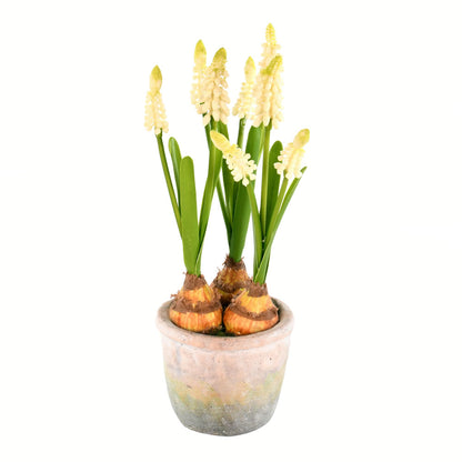 Vickerman 10" Artificial Yellow Hyacinths in Container Pack of 2