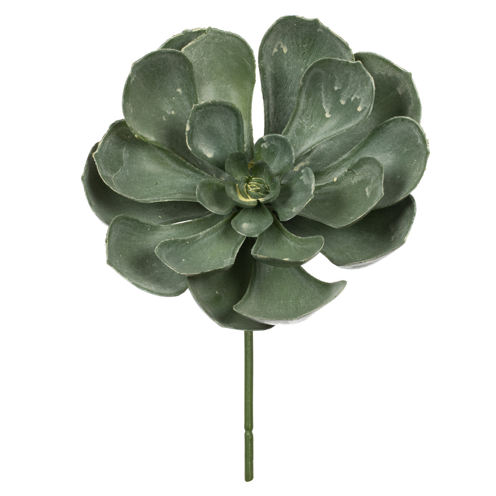 Vickerman 8.5" Artificial Assorted Echeveria Stems 6 per Bag
