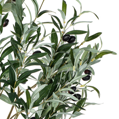 Vickerman 72" Artificial Green Olive Tree in Black Planters Pot.