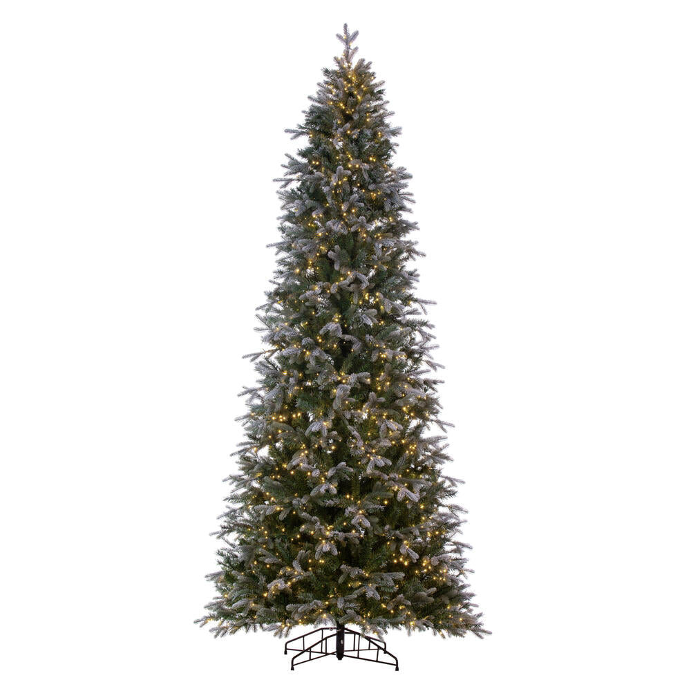 Vickerman 12' x 62" Frosted Douglas Fir Artificial Pre-Lit Christmas Tree Warm White 3mm LED Lights.