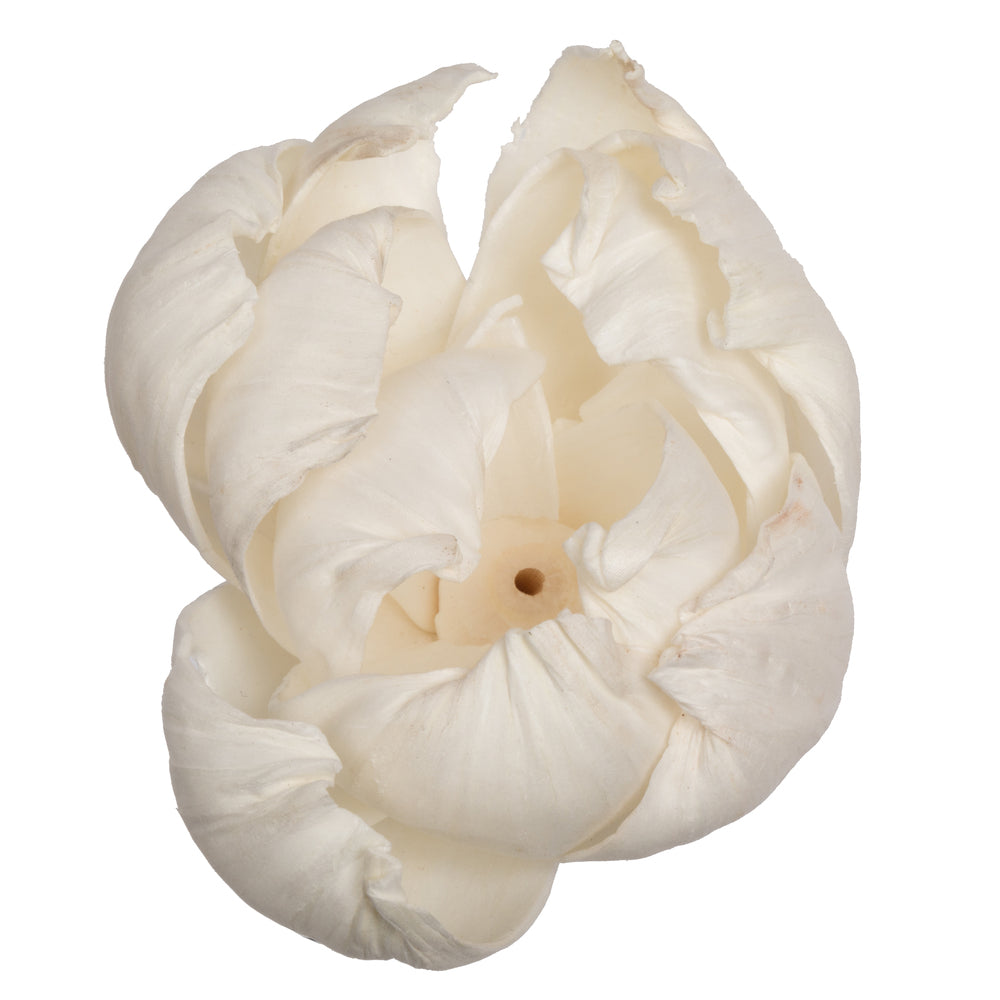 Vickerman Natural Botanicals 1.6"/2.4"/3.2" 1-3" Assorted Peony Sola Head 24/bag.