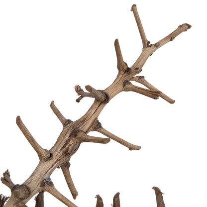 Vickerman Natural Botanicals 32" Coco Exotica Natural 2   pieces per Pack.