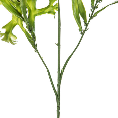 Vickerman 31.5" Artificial Purple and Green Staghorn Fern Spray Pack of 2.