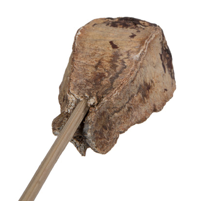 Vickerman Natural Botanicals 20" Mehogany Pods on Stem. Includes 100 Stems per Pack