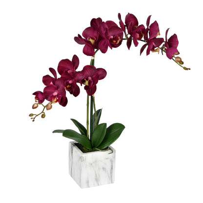 Vickerman 22" Artificial Potted Real Touch Dark Purple Phalaenopsis Spray.